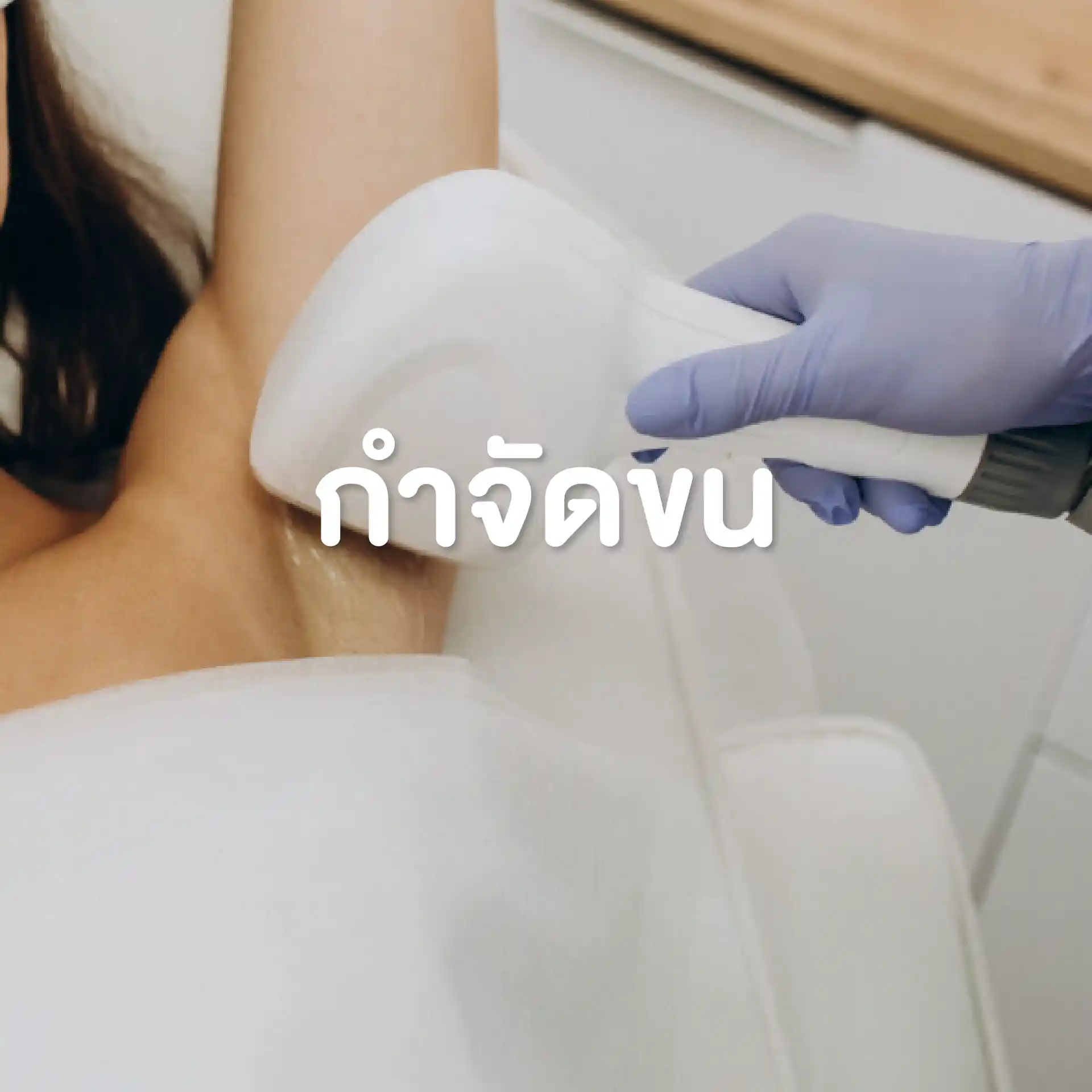 โปรแกรมกำจัดขน