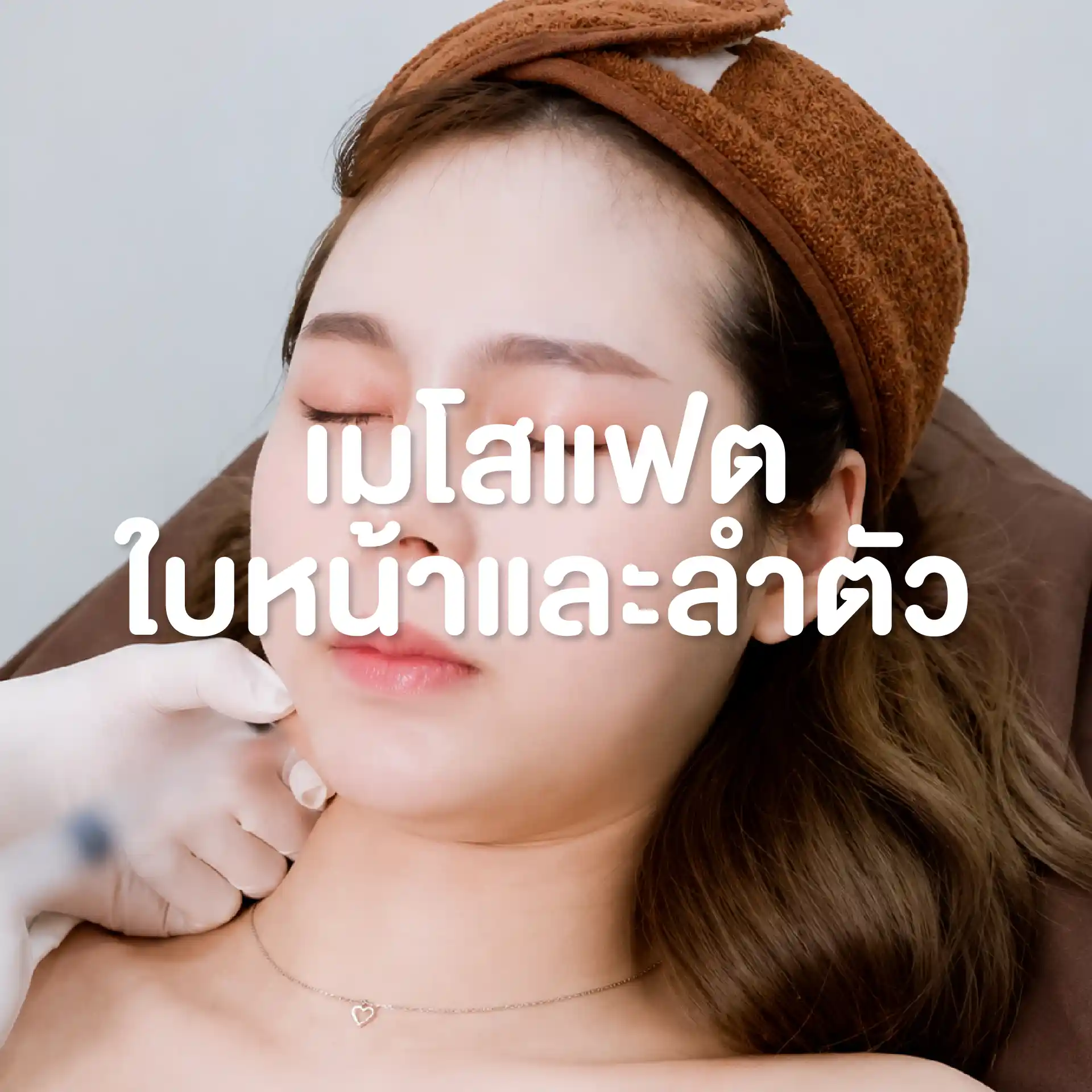 โปรแกรมเมโสแฟต